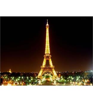 تور جهانگردی نوروز 95 ، یازده روزه پاریس-میلان-رم-ژنو